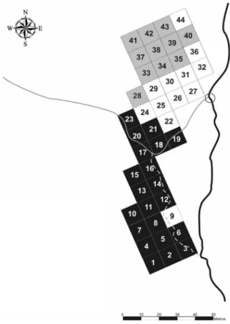 Figure 4. canopy opening evaluated for the 44 sample plots  and  local  hydrography  at  the  conluence  region  of  Jardim  Bandeirantes  stream  in  Ribeirão  Claro  river,  Rio  Claro  municipality,  sP