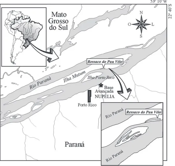 Figure 1. Localization of Pau Véio backwater at the Paraná River Floodplain, Paraná State, Brazil.