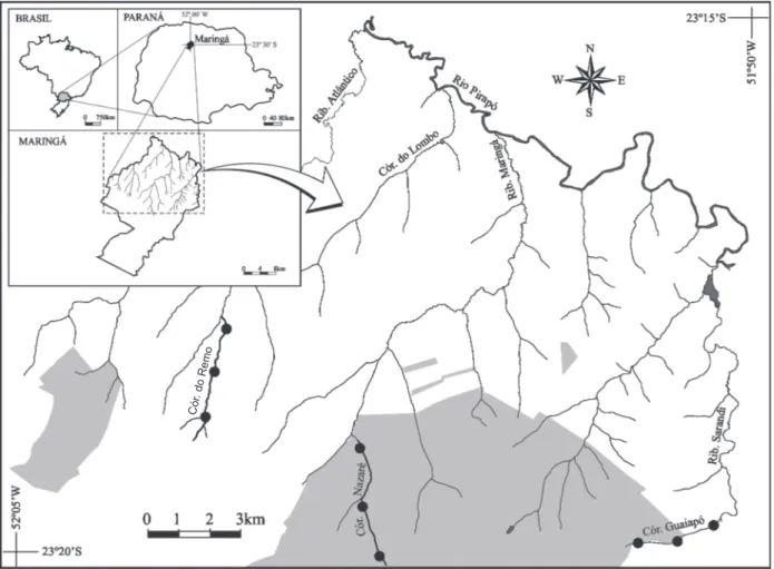 Figure 1. Location of Remo, Nazaré and Guaiapó streams in Maringá, Paraná State (gray = urban area; white = rural area).