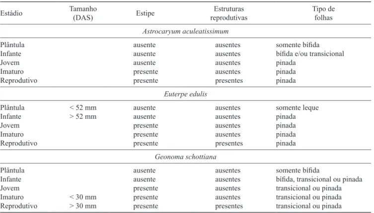 Tabela 2. Classiicação e caracterização dos estádios ontogenéticos e classes estabelecidos para as espécies  Astrocaryum  aculeatissimum, Euterpe edulis e Geonoma schottiana em cinco fragmentos lorestais de Mata Atlântica no Norte do Estado  do Rio de Jane