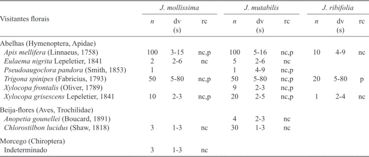 Table 3. Floral visitors, number of visits (n), length of visits in seconds (dv) and resource collected (rc) in Jatropha mollissima,  J