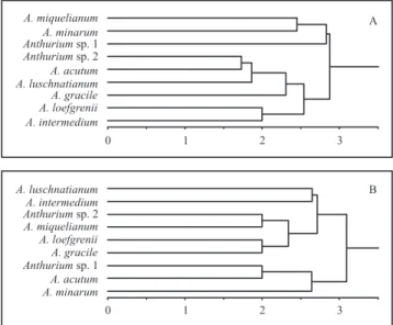 Figura  33.  Análise  de  agrupamento  obtida  por  distância  Euclidiana  e  UPGMA,  baseada  na  presença  e  ausência  de  caracteres anatômicos distintos em espécies de Anthurium