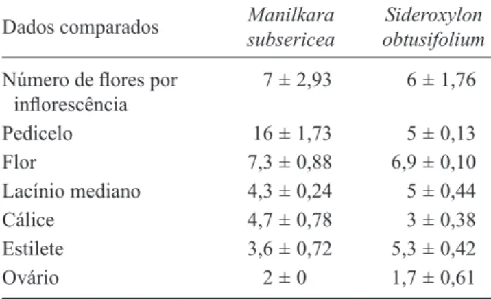 Tabela 1. Dados comparativos (média ± desvio padrão)  sobre o número de  ﬂ  ores por in ﬂ  orescência (n), tamanho das  ﬂ  ores e de estruturas  ﬂ  orais (mm) de Manilkara subsericea  e  Sideroxylon obtusifolium na restinga de Maricá, Rio de  Janeiro (n = 
