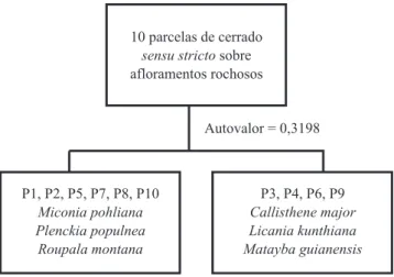 Figura 1. Distribuição por classes de diâmetro dos indivíduos  vivos e espécies amostrados em área de cerrado sensu stricto  sobre aloramentos rochosos no Parque Estadual dos Pireneus,  Goiás