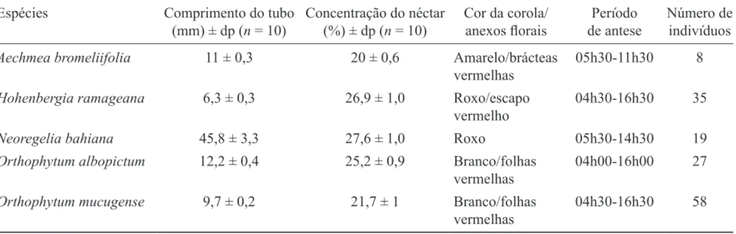 Tabela 1: Morfologia loral das bromeliáceas ornitóilas do Parque Municipal de Mucugê, Mucugê, Chapada Diamantina,  Bahia.