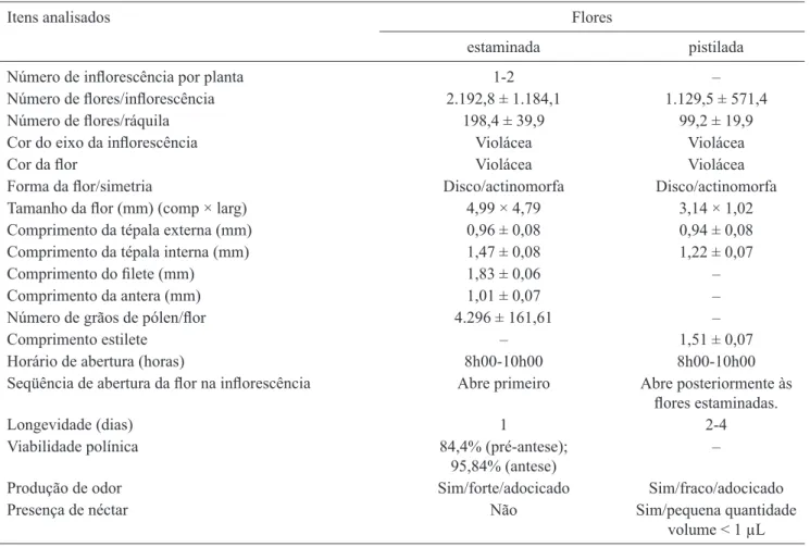 Tabela 2. Características das ﬂ ores de Geonoma brevispatha (Arecaceae) em mata de galeria inundável na Reserva do Clube  Caça e Pesca Itororó em Uberlândia, MG