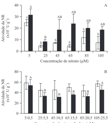 Figura 4. Variação da atividade da nitrato redutase (NR) das  amostras das linhagens verde-clara (VC, A) e marrom (MA, B)  de Hypnea musciformis estocadas em diferentes temperaturas  (-20 °C, -20 °C + gelo seco e -80 °C) por 1 (coluna branca)  e 7 (coluna 