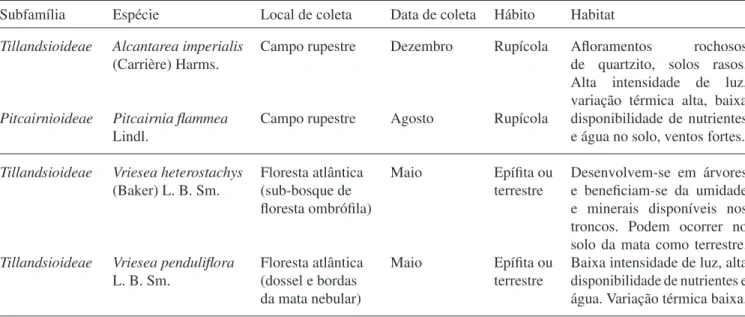 Table 1. General information of four collected species from Ibitipoca State Park, Lima Duarte, MG