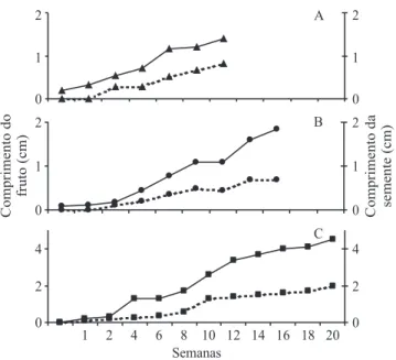 Figura 3. Curva de crescimento dos frutos ( — ) e das sementes ( •••• ) das espécies estudadas, resultantes de polinização natural