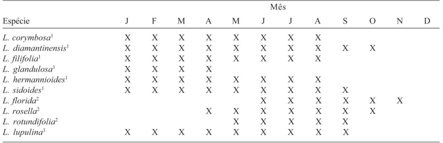 Tabela 2. Ocorrência de floração em plantas de Lippia mantidas em canteiro em Juiz de Fora, MG, em quatro anos de observação.