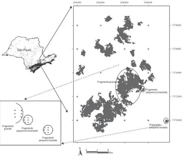 Figura 1. Área de estudo (Planalto de Ibiúna, SP), com a localização dos fragmentos florestais estudados (círculos) e indicação aproximada dos pontos de coleta, representados por pequenos círculos