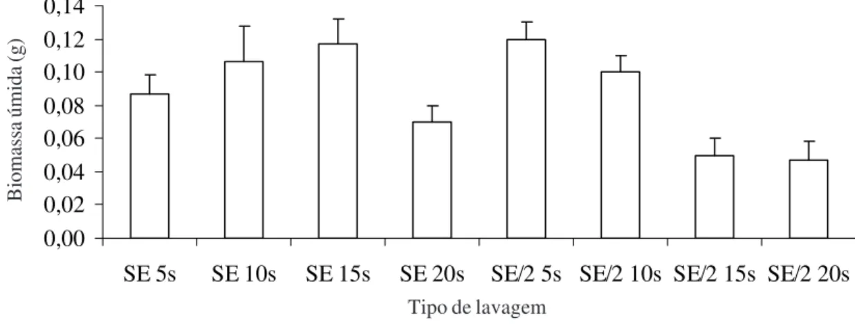 Figura 1. Biomassa da matéria úmida (média ± desvio-padrão) obtida a partir de explantes axênicos cultivados em meio sólido por 60 dias, após tratamento com solução esterilizante (SE) ou solução esterilizante com concentração reduzida a 50% (SE/2) por 5, 1