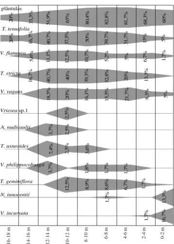 Figure 3. Graphical representation of the colonization of available phorophytes per height intervals in secondary forest stage, Santa Catarina Island.