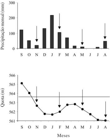Figura 2. Precipitação total na região de estudo e variação anual (setembro de 1999 a agosto de 2000) de médias mensais de quota do Rio Paranapanema na sua desembocadura no Reservatório de Jurumirim, São Paulo