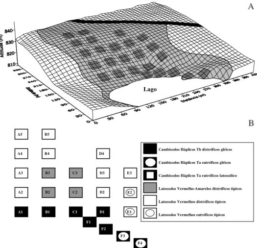 Figure 1. Surface gridline showing the sample plots with 20×20 m of dimensions used to survey the area of riparian forest in Coqueiral, SE Brazil (A) (lines are spaced at 10 m intervals), and plots identification and soil classification (B) (the swampy are