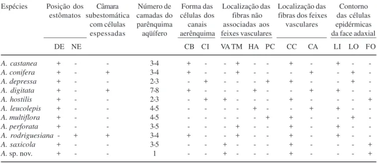 Tabela 1. Caracteres anatômicos das folhas de espécies de Aechmea subg. Chevaliera (CA = em calotas; CB = braciforme;