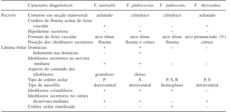 Tabela 3. Caracteres diagnósticos levantados para Forsteronia  australis, F. glabrescens, F