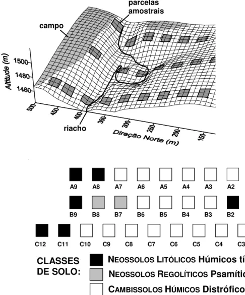 Figura 1. A. Grade de superfície mostrando a topografia da área de floresta semidecídua alto-montana e de campo de altitude estudada na chapada das Perdizes, Carrancas, MG, e a distribuição das três transeções amostrais, A, B e C, e de suas parcelas de 20 