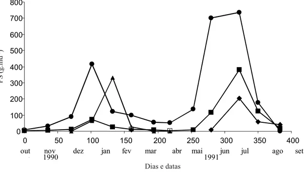 Figura 3 - Produção de serapilheira de Centrolobium tomentosum e suas frações principais ao longo do período de estudo (1990-1991) (g.ind -1 )