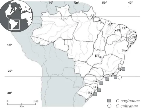 Figura 6. Distribuição geográfica das espécies de Cheilosporum no litoral brasileiro.