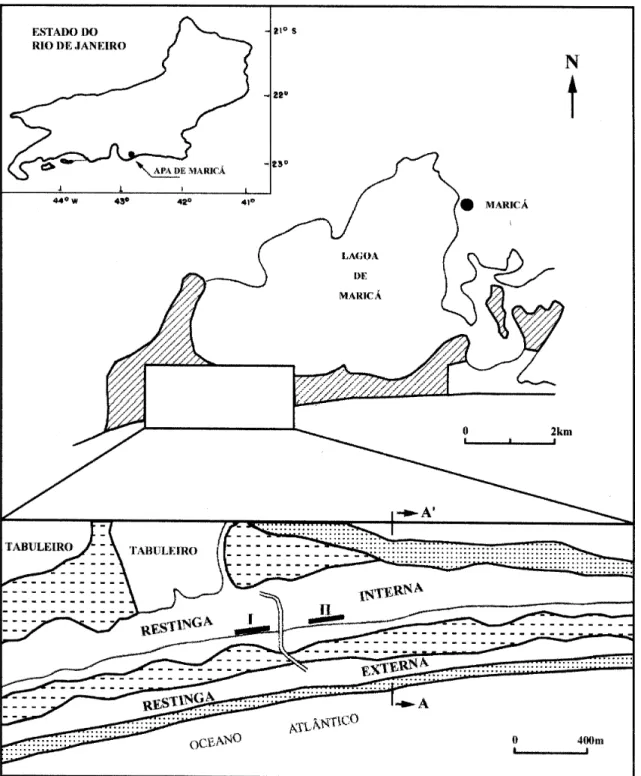 Figura 1. Localização da Área de Proteção Ambiental de Maricá (RJ). No detalhe são apresentadas as feições geomorfológicas da região (fonte: FEEMA - Mapa geológico da APA de Maricá)