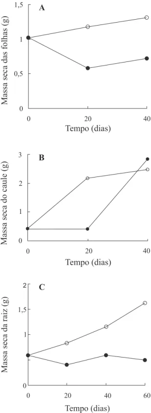 Figura 1. Massa seca das folhas (A), caule (B) e raiz (C) de plântulas de Piptadenia gonoacantha crescendo por 60 dias sob capacidade de campo (  ) e inundação (  ).