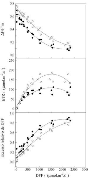 Figura 4. Rendimento quântico efetivo (∆F/F‘m), taxa relativa de transporte de elétrons (ETR), e excesso relativo de radiação fotossintéticamente ativa, em folhas de A.