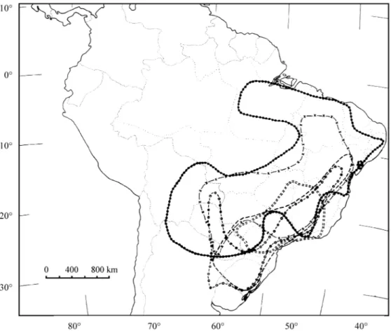 Figura 2. Padrões de distribuição de E. articulata (•-•-•), E. perennis (o-o-o), E. seminuda (--), E