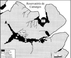Figura 1. Mapa da área de estudos indicando a localização dos blocos de parcelas (A, B, C e D) na floresta ripária (CM) estudada na região do reservatório de Camargos, Itutinga, MG