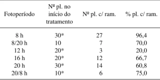 Tabela 7. Número de plantas de V. aff robusta com ramificações (Nº pl.c/ram.), porcentagem de plantas com ramificações (% pl.c/ ram.) 127 dias após o início dos tratamentos fotoperiódicos (127 dias).