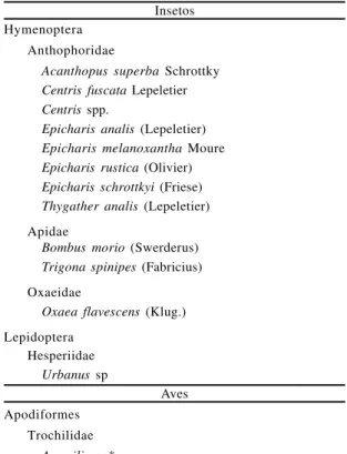 Tabela 2. Resultados das polinizações controladas efetuadas em flores de Vochysia cinnamomea, e o índice de  autoincom-patibilidade obtido a partir destes resultados.