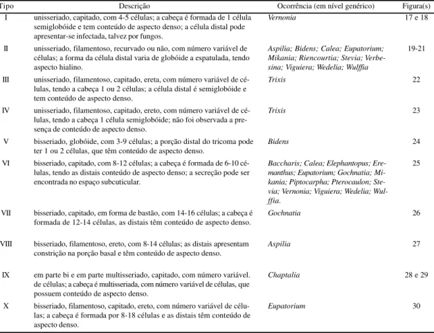 Tabela 3.  Descrição e ocorrência dos tipos de tricomas secretores em folhas de espécies de Asteraceae do cerrado da Reserva Biológica de Moji Guaçu (SP, Brasil).