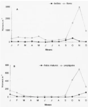 Figura 1. Número total de botões, flores (A), frutos imaturos e propágulos (B) amostrados mensalmente em peneiras coletoras no Parque do Estado, SP.