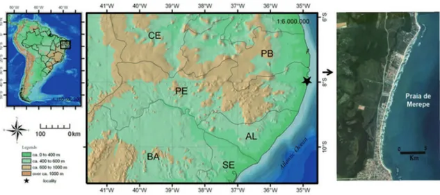 FIgURA 1: Mapa de localização da área de estudo, a estrela refere-se ao município de Ipojuca, praia de Merepe, Porto de Galinhas, Ipojuca,  Pernambuco, Brasil