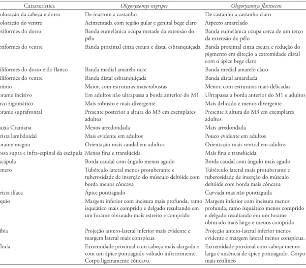 TABELA 1: Tabela comparativa das estruturas diagnosticadas como relevantes para a discriminação de Oligoryzomys nigripes e O