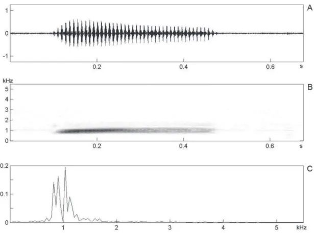 FIGurA 1:  Canto de anúncio de Proceratophrys concavitympanum:  (A)  oscilograma de um canto de anúncio,  (b)  sonograma (freqüência x  tempo) deste canto e (c) espectro de potência (amplitude em Volts x freqüência) do mesmo canto (temperatura do ar = 25°C
