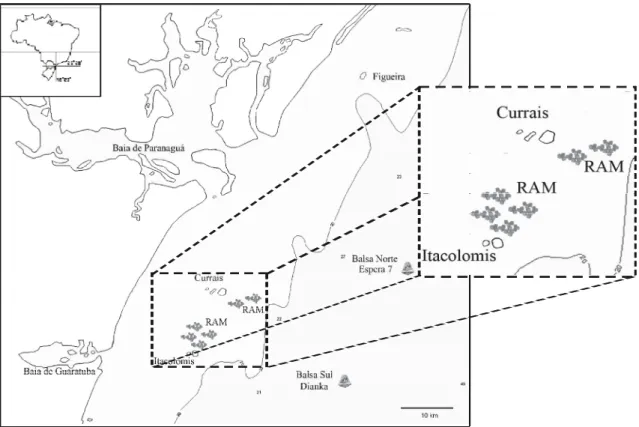 FIGURA 1: Mapa do litoral do Paraná mostrando os pontos amostrais: Ilha da Figueira, Arquipélago de Currais, Ilha de Itacolomis: Recifes  Artificiais Marinhos (RAM) e naufrágios artificiais, as Balsas Dianka (sul) e Espera 7 (norte).