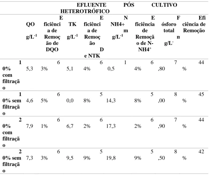 Tabela 04: Resultados de análises físico-químicas do efluente pós-cultivo heterotrófico com  concentração inicial de 10% e 20% e efluente com e sem filtração