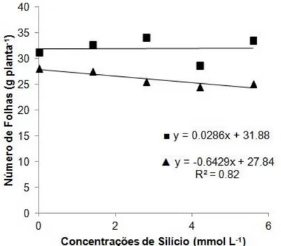 Figura 3. Número de folhas das cultivares crespa (▲) e lisa (■), de plantas de alface crescendo em  solução nutritiva com concentrações de silício de 0.0 a 5.6 mmol L -1 