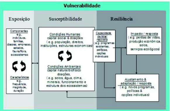 Figura 3 - Modelo estrutural da vulnerabilidade e detalhe para seus elementos constituintes.