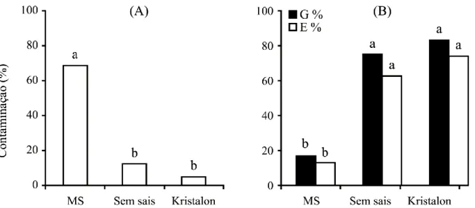 Figura 1. (A) - Percentual de contaminação (CV% = 21,4); (B) - Percentuais de germinação (G %) e de 