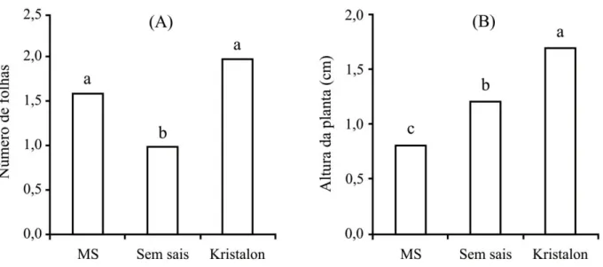 Figura 3. (A) - Número de folhas (CV % = 20,6) e (B) - Altura da planta (CV % = 13,7)  de        Handroanthus chrysotrichus cultivadas in vitro em diferentes meios