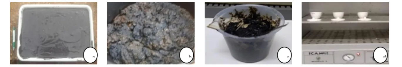 Figura 1. Lodo Agroindutrial do Matopiba (TO): a) secagem do lodo com energía solar; b) secagem do  lodo em estufa; c) lodo seco (oleoso) a peso constante; d) lodo na estufa pronto para análises 