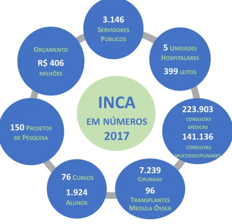Figura 1 – INCA em números 