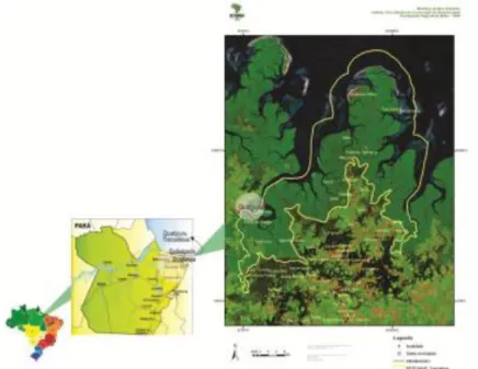 Figura 1: Mapa da localização da Reserva Extrativista Marinha de Tracuateua 