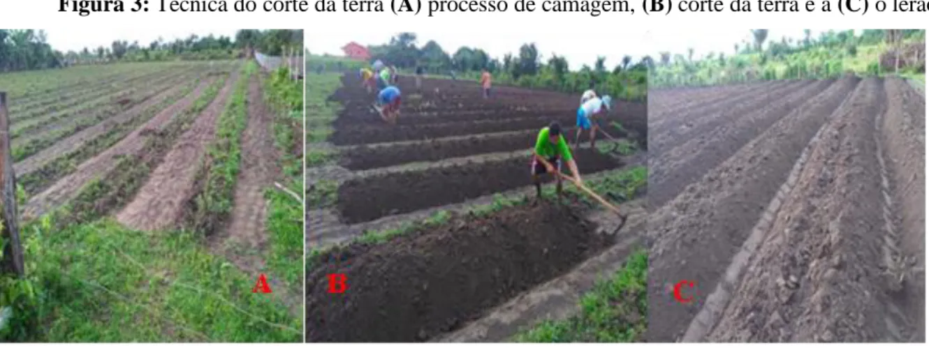 Figura 3: Técnica do corte da terra (A) processo de camagem, (B) corte da terra e a (C) o lerão