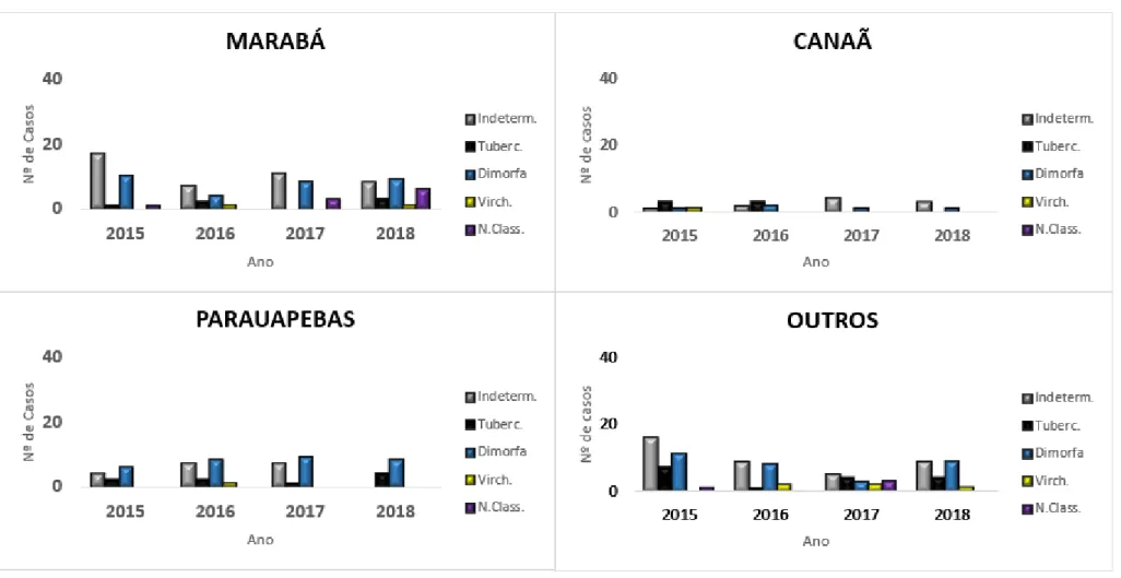 Gráfico 2: Casos de hanseníase infantil entre os anos de 2015 a 2018 por forma clínica nos municípios de Marabá, Canaã dos Carajás, Parauapebas e outros  municípios da região de Carajás