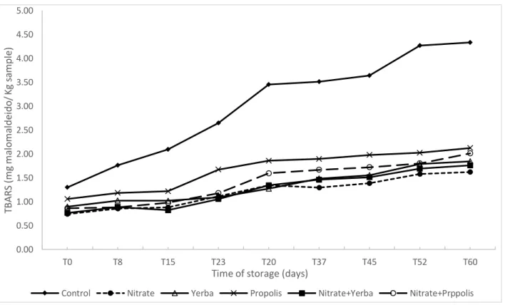 Figure 1. Evolution of lipid oxidation by the number of TBARS in function of the storage time in JB