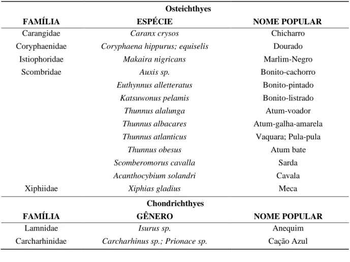 Tabela 1: Espécies identificadas de maior ocorrência na pesca da frota atuneira de Itaipava/ES