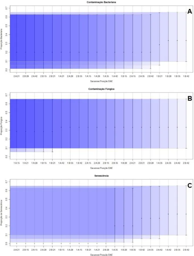 Figura  4:  Intervalos  de  95%  de  confiança  para  (A)  Proporção  de  Contaminação  Bacteriana;  (B)  Proporção  de  Contaminação Fúngica e (C) Proporção de Senescência para a interação de 2 concentrações de sacarose (1: 10 g.L -1 ; 2: 